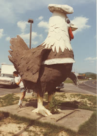 roadchicken